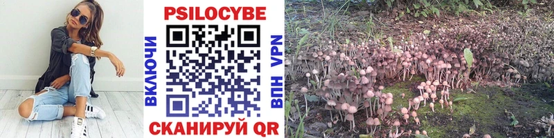 Галлюциногенные грибы GOLDEN TEACHER  купить наркотики сайты  Очёр 